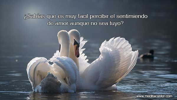 Es fácil percibir el amor, aunque no sea tuyo.