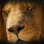 Meditación para dormir.