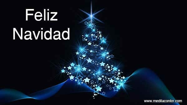 Feliz Navidad: Mucha luz para vosotros.