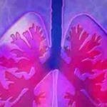 Ten Conciencia de tu Cuerpo Físico