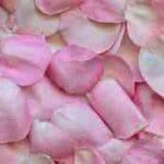 Materializa Hoy el Amor en tu Vida