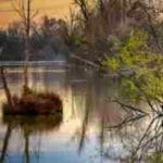 El Santuario del Sueño