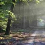 Meditación para Relajación