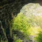 ¡Duerme ahora! Paseo Mágico a la Gruta