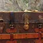 Desconectando la Mente