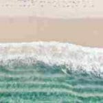 Un Agradable Paseo por la Playa