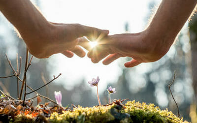 Todo sobre la sanación energética y espiritual