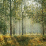 Un lugar divertido en la Naturaleza