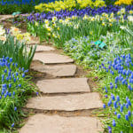 Un nuevo encuentro que siempre ha existido