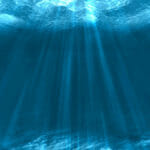 Explora las profundidades marinas: Una meditación oceánica