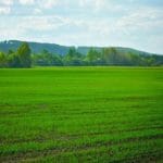 Relajación profunda con energías divinas: Unifícate con Energías Divinas