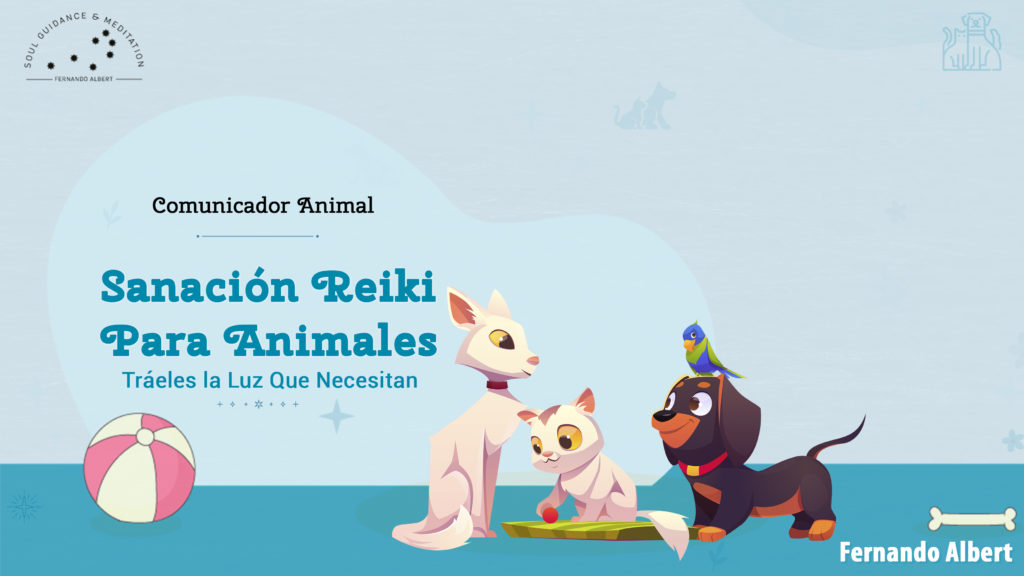 Sanación Energética para Mascotas