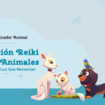 Sanación Energética para Mascotas