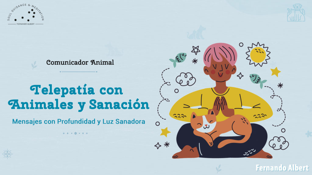 Comunicación y Sanación de animales