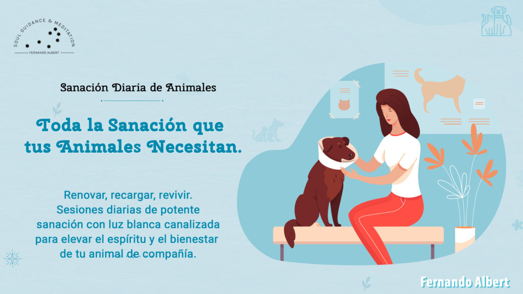 Sanación Diaria de Animales